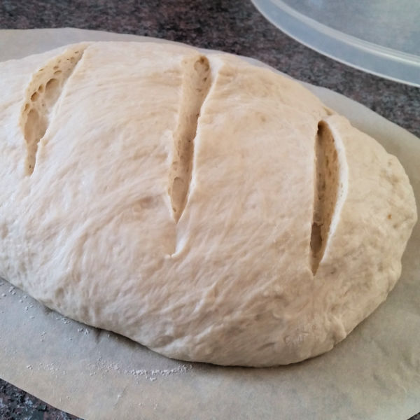 https://www.quick-german-recipes.com/images/6-artisan-bread-slash-dough.jpg