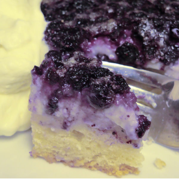 German Rehrucken (Rack of Venison) Chocolate Almond Cake With Blueberry  Coulis - A Culinary Atlas